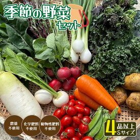 【ふるさと納税】季節の野菜セットS 4〜6種類（約2kg）【 国産 旬 季節の野菜 詰め合わせ セット 農薬不使用 無農薬 産地直送 京野菜 京都 綾部 】