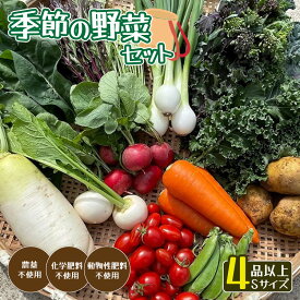 【ふるさと納税】季節の野菜セットS（約2kg） 【 国産 旬 季節の野菜 詰め合わせ セット 農薬不使用 無農薬 産地直送 京野菜 京都 綾部 】