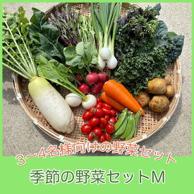 【ふるさと納税】季節の野菜セットM（約4kg）【 国産 旬 季節の野菜 詰め合わせ セット 農薬不使用 無農薬 産地直送 京野菜 京都 綾部 】