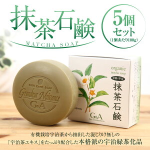 yӂ邳Ɣ[ŁzΌ(100g×5) FΒ JeL ? ΂  Ō`Ό q h XLPA yuj-CC003zyЃW[AhG[z