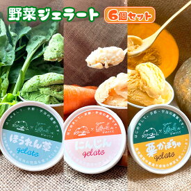 【ふるさと納税】野菜ジェラート 6個セット　ジェラート 野菜 ミルク　DQ01