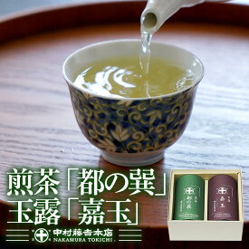 【ふるさと納税】≪中村藤吉本店≫ 煎茶『都の巽』・玉露『嘉玉』詰合せ(各80g×1缶・計160g) 京都 宇治 緑茶 お茶 茶葉 日本茶 国産 煎茶 都の巽 玉露 嘉玉 高級茶 茶缶 老舗 詰合せ 高級茶 【uj-AZ024】【中村藤吉本店】