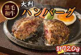 【ふるさと納税】黒毛和牛ハンバーグ(計720g・180g×4個) ハンバーグ 黒毛和牛 牛肉 ハンバーグステーキ 冷凍ハンバーグ 個包装 大判 ジューシー 肉料理 おかず 簡単調理 焼くだけ 惣菜 冷凍惣菜 【uj-DW001】【高見牧場直売店 Meat&Fresh TAKAMI】