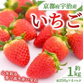 【ふるさと納税】京都府宇治市産いちご(計約1kg・約250g×4パック) 苺 イチゴ 果物 くだもの フルーツ 【uj-FL001】【red】