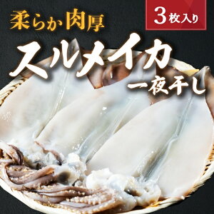 yӂ邳Ɣ[Łz_炩̃XCJ銱 3 L CJ  XCJ  ܂  VN ۑ Ⓚ Y  ̍ ̂܂
