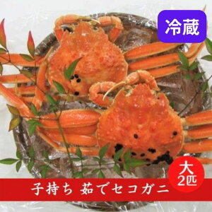 yӂ邳Ɣ[ŁzY q 䥂 ZRKj TCY 2tZbg(①) Jj I  @͂F2025N12܂