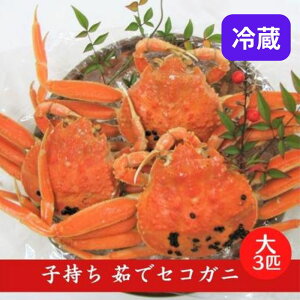 yӂ邳Ɣ[ŁzY q 䥂 ZRKj TCY 3tZbg(①) Jj I  @͂F2025N12܂