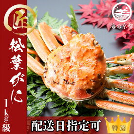 【ふるさと納税】【配送日指定可】茹で松葉蟹 特大1杯（1,000g級）〈11月中旬～2026年3月末頃発送〉 蟹 カニ かに 松葉蟹 松葉ガニ ズワイガニ ボイル　お届け：2025年11月中旬～2026年3月末頃