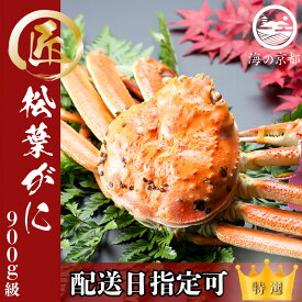 【ふるさと納税】【配送日指定可】茹で松葉蟹 大1杯（900g級）〈11月中旬～2026年3月末頃発送〉 蟹 カニ かに 松葉蟹 松葉ガニ ズワイガニ ボイル　お届け：2025年11月中旬～2026年3月末頃