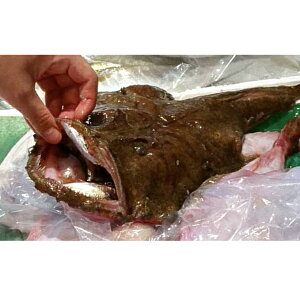 yӂ邳Ɣ[ŁzNxQĨARE  Zbg CN ؂g 1kg VN CN Mtg ~ 