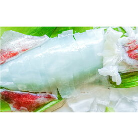 【ふるさと納税】朝どれ 白いか 1kg（3～6杯）【 京都産 刺身 OK】[ イカ 剣先イカ 肴 人気返礼品 ]　【魚貝類・イカ】