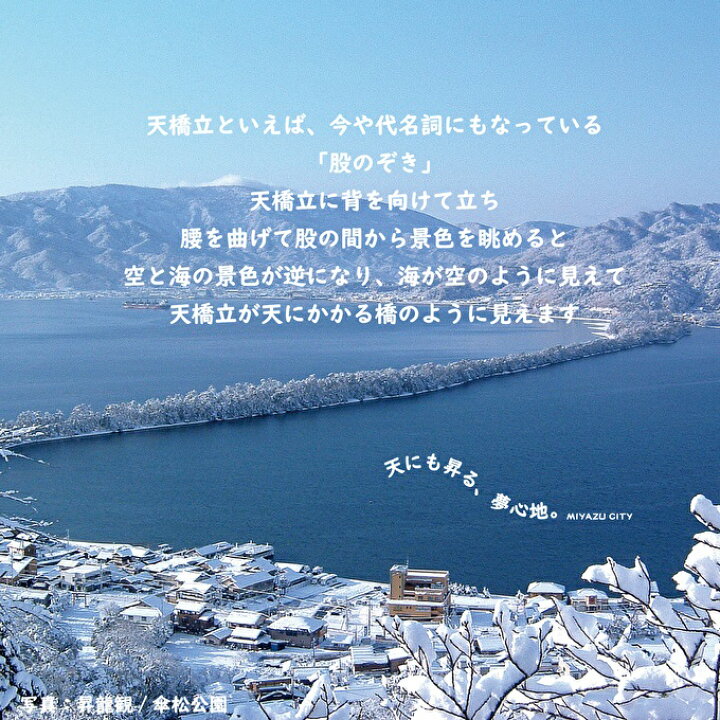 楽天市場 ふるさと納税 日本三景 天橋立 の旅館組合施設でご利用頂ける 宿泊 食事補助券d 京都 海の京都 旅行 宿泊 夏休み 冬休み 家族 ペア 友達 記念日 海水浴 温泉 カニ 蟹 ブリ 城崎温泉も近い 京丹後も近い 京都府 近畿 宿泊券 お食事券 京都府宮津市