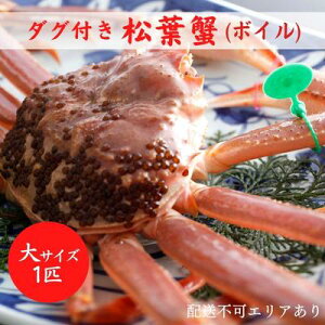 yӂ邳Ɣ[ŁzI ^Ot tI ({C) 1C[  Jj tKj ] uhI @͂F2026N320܂