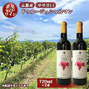 yӂ邳Ɣ[Łzyӂ邳Ɣ[Łz ԃC sY 2022hD[WV} Ì 720ml×2{s VCi[ tC wine V