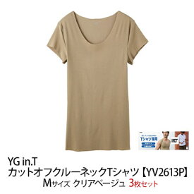 【ふるさと納税】グンゼ YG in.T カットオフクルーネックTシャツ【YV2613P】Mサイズ クリアベージュ3枚セット 下着 肌着 GUNZE ファッション 服 男性 メンズ インナー 汗取りパッド 脇汗 汗じみ 吸汗速乾素材 汗じみ　【宮津市】