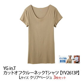 【ふるさと納税】グンゼ YG in.T カットオフクルーネックTシャツ【YV2613P】Lサイズ クリアベージュ3枚セット 下着 肌着 GUNZE ファッション 服 男性 メンズ　宮津市