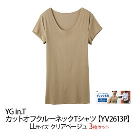 【ふるさと納税】グンゼ YG in.T カットオフクルーネックTシャツ【YV2613P】LLサイズ クリアベージュ3枚セット GUNZE　【 ファッション 服 男性 メンズ インナー 】