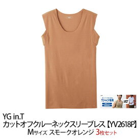 【ふるさと納税】グンゼ YG in.T カットオフクルーネックスリーブレス【YV2618P】Mサイズ スモークオレンジ3枚セット GUNZE　【 ファッション 服 男性 メンズ インナー 】