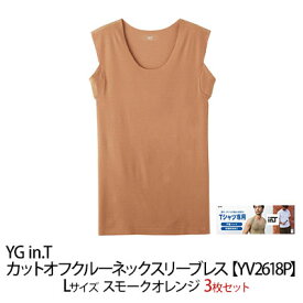 【ふるさと納税】グンゼ YG in.T カットオフクルーネックスリーブレス【YV2618P】Lサイズ スモークオレンジ3枚セット GUNZE　【 ファッション 服 男性 メンズ インナー 】