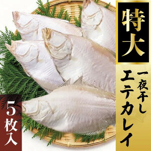 yӂ邳Ɣ[ŁzGeJC 銱 5 [ JC    ]@ L CN   g  H  JC̈銱 Ⓚ