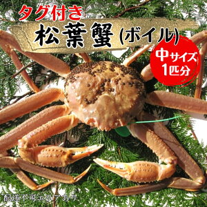 yӂ邳Ɣ[ŁzI ^Ot tI ({C) 1C[  Jj tKj ]@ j Cxg NNn   H ^OtuhI uhI @͂F2026N320܂