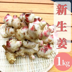 yӂ邳Ɣ[Łzys\z VI 1kg I 傤 VEK   XpCX h 吶I ₩ {Îs s{@͂F2025N101`2025N1014܂
