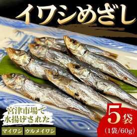【ふるさと納税】いわし　めざし　60g×5袋　マイワシ　ウルメイワシ | 鰯 真イワシ 魚 魚介 水産 網焼き 炭火焼 おつまみ 酒の肴 ご飯のお供 京都 宮津市