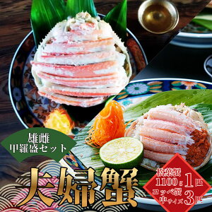 yӂ邳Ɣ[ŁzyʌzvwI bZbg tI قgiXjIi1,100gjƃRbyɁiTCY3j@͂F`2026N3܂