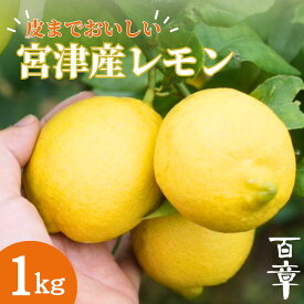 【ふるさと納税】宮津産 レモン 1kg　国産 檸檬 柑橘類 果物 くだもの フルーツ 常温配送 京都府 宮津市　お届け：～2026年3月末まで