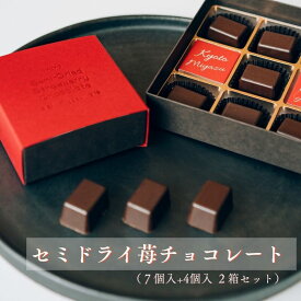【ふるさと納税】セミドライ苺チョコレート（7個入り＋4個入りの二箱セット）| お菓子 おかし おやつ スイーツ チョコレート ドライ苺 ギフト
