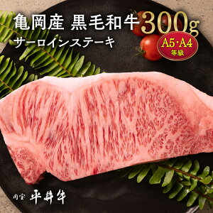 【ふるさと納税】【7営業日以内発送】牛肉 最高級黒毛和牛『平井牛』A5・A4 サーロインステーキ 300g 1枚| 希少 和牛 京都肉 京都産 亀岡産 冷凍 真空パック ステーキ ロース 送料無料