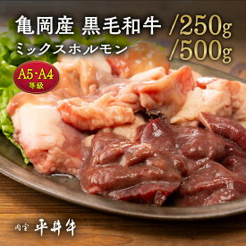 【ふるさと納税】【7営業日以内発送】＼選べる内容量／平井牛 ミックスホルモン 250g/500g＜京都丹波牧場＞亀岡産黒毛和牛 自家産 ｜ レバー・ハツ・小腸・大腸・赤セン・センマイ・ギアラ 希少 A5 A4 和牛 国産 ホルモン 冷凍 真空パック 送料無料