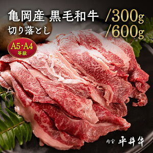 yӂ邳Ɣ[Łzy7cƓȓz_Iׂeʁ^䋍 A5EA4 ؂藎Ƃ 300g/600g TYјa b  a Ⓚ ^pbN XCX Ă Ԃ ē  