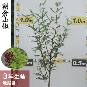 yӂ邳Ɣ[Łz_3Nc TV(R) qR[n@c 2023N]c Ȃ c  Y kCEEւ̔zs 2025N12{`2026N4{ɏ