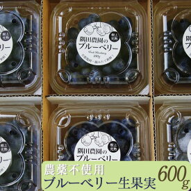 【ふるさと納税】朝摘み ブルーベリー 生果実 600g 栽培期間中農薬不使用＜すだ農園＞ ◇ ｜ 果実 新鮮フルーツ 冷蔵※2026年7月～発送