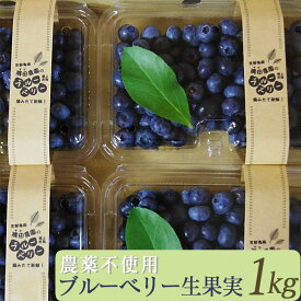 【ふるさと納税】朝摘み ブルーベリー 生果実 1kg 栽培期間中農薬不使用 ＜すだ農園＞◇ ｜ 果実 新鮮 フルーツ 冷蔵 ※2026年7月～発送