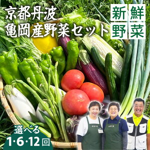 yӂ邳Ɣ[Łz  1 6 12 s ̗ VN {̖؃Zbg 7`10i sOgETY G߂̖ lߍ킹Yn   6 12 󂠂 ԌE