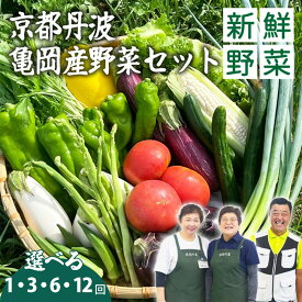 【ふるさと納税】野菜 定期便 野菜セット 野菜詰め合わせ 高評価★4.6 以上［選べる 1回 3回 6回 12回 3ヶ月 6ヶ月 12ヶ月 毎月 隔月］京都佐伯の里 新鮮 旬 産地直送 7～10品 丹波亀岡産 季節の野菜｜お試し 訳あり ふるさと納税 1万円以下 ふるさと納税定期便