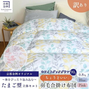 yӂ邳Ɣ[Łzsy󂠂zHѕzc | VO zCg_bN_E90 傤ǂ y 0.8kg DP360 { V 󂠂 { sTY |zc |zc 