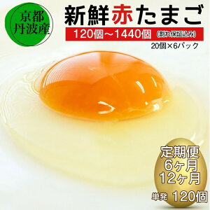 yӂ邳Ɣ[Łzz_Iׂ1Eց^ VN  sEOg̐Ԃ܂ 100(20×5pbN)+ۏ206E12  ܂ {   Mtg  ① H  lCk