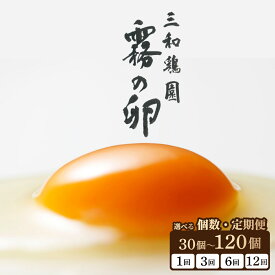【ふるさと納税】新鮮 卵 定期便 京都丹波『霧の卵』30個(25個+割れ保証5個)・120個(100個+割れ保証20個) 定期便 3回 6回 12回］三和鶏園｜亀岡市 ふるさと納税 卵 定期便 3ヶ月 6ヶ月 12ヶ月 たまご タマゴ 玉子 ギフト ふるさと納税 卵 ※配送不可地域あり
