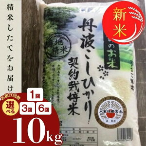 yӂ邳Ɣ[Łzy󂠂Ezy7NY Vāz sOg Ђ  10kg 1/3/6  3 6 āEHӒmIRVqJ OgY _͔| ӂ邳Ɣ[ŕā