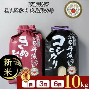 yӂ邳Ɣ[Łzy󂠂Ezy7NY VāzsOg  10kg(Ђ5kg ʂЂ5kg) 1 3/6  3 6 Hה āEHӒmI RVqJ LkqJ