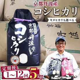 【ふるさと納税】【期間限定 生活応援】高評価★4.6 京都丹波米 コシヒカリ 5kg 定期便［選べる キヌヒカリ］1回 4回 8回 12回 令和7年産 米・食味鑑定士厳選｜生活応援 訳あり 簡易包装 契約栽培 京都丹波産 産地直送 12ヶ月 こしひかり きぬひかり【3/31迄 寄附額改定】