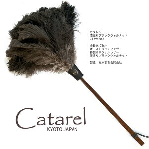 yӂ邳Ɣ[Łz I[Xgb` ͂ Catarel hubNEHibg CT-W420U - J^MVPӂ邳Ɣ[ŏ 1i2020N10jESDGsssT