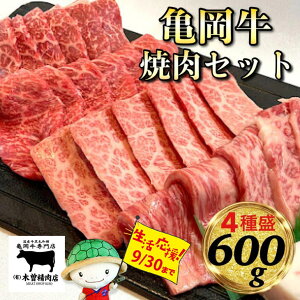 yӂ邳Ɣ[Łzy󂠂EzT ē 4Zbg600g(e150g) Ⓚ/① Hה Ԑg(Ef//v) ~(o/[X) TX ؑ]X ēZbga  