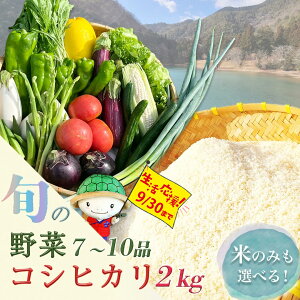 yӂ邳Ɣ[Łzy󂠂Ez  2kg(RVqJ) {̖7`10iZbg 1 6 12 s ̗ sOg/TY G߂̖ lߍ킹Yn  ߘa7NY 6