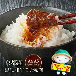 yӂ邳Ɣ[Łzy󂠂Ezy7ȓ Iׂ 12zsYјa A4 A5 ēp Iׂ 300g 600g 1.2kg 2.4kg Ⓚ  ēX 󂠂 s ē Y Og a 