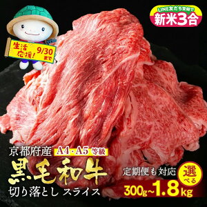 yӂ邳Ɣ[Łzy󂠂EzLO2ʊl ]  ؂藎Ƃ XCX sYјa A4 A5 300g 450g 900g 1.2kg 1.8kg Iׂ  6 12  Ⓚ ̓ ЂR