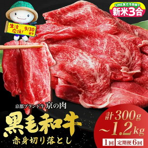 yӂ邳Ɣ[Łzy󂠂Ez1ʊl ] Ԑg  ؂藎Ƃ XCX sYјa A4 A5 300g 600g 1.2kg(600g×2) Iׂ  6  Ⓚ ̓ ЂR 󂠂 s